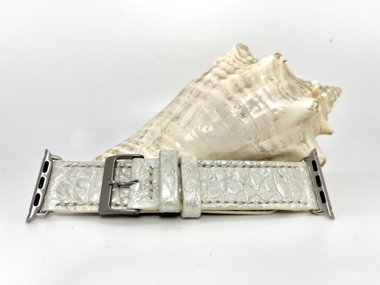 38-41mm apple watchband