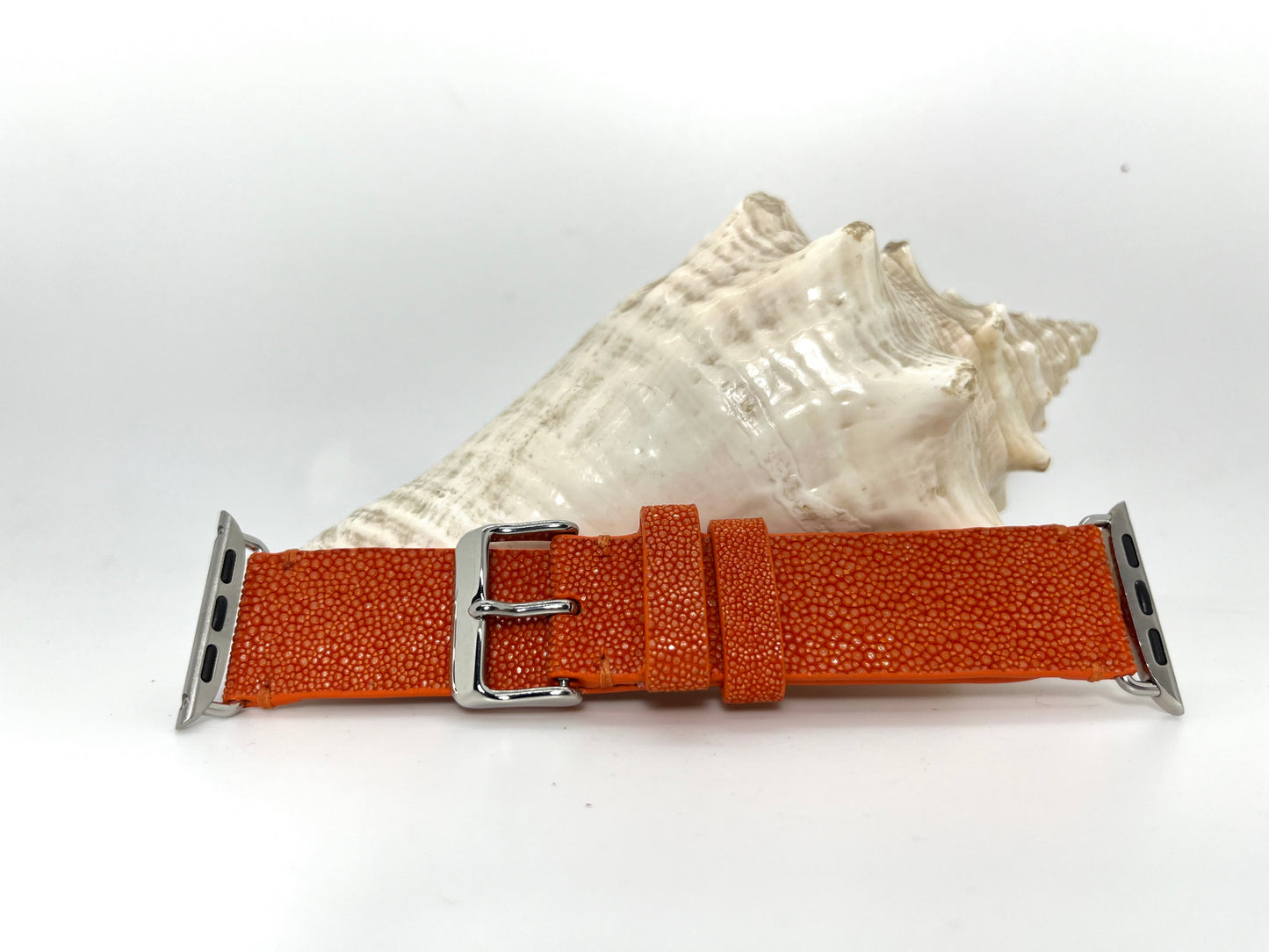 Stingray ladies apple watchband
